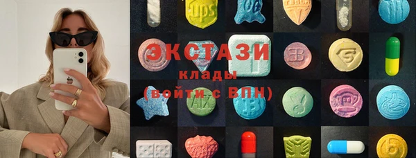 индика Алзамай