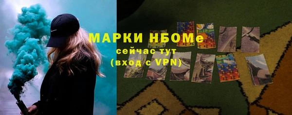 индика Алзамай