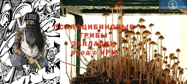 индика Алзамай