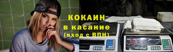 индика Алзамай