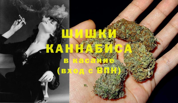 индика Алзамай