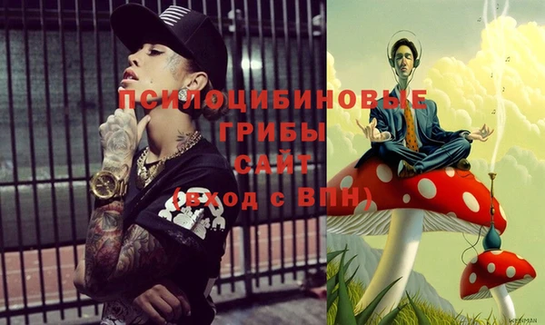 эйфоретик Алексеевка