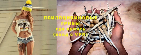эйфоретик Алексеевка